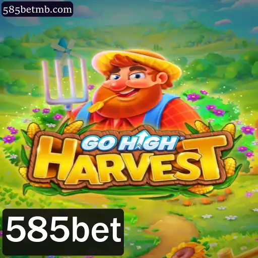 GoHighHarvest: A Nova Aventura de Estratégia e Sorte