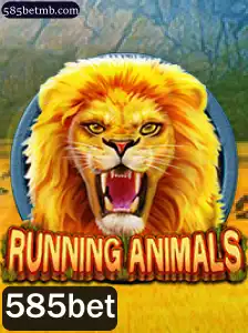 Explorando o Mundo Vibrante de RunningAnimals e o Impacto da 585bet